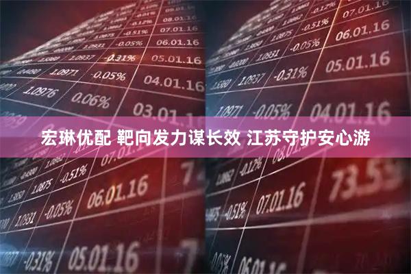 宏琳优配 靶向发力谋长效 江苏守护安心游